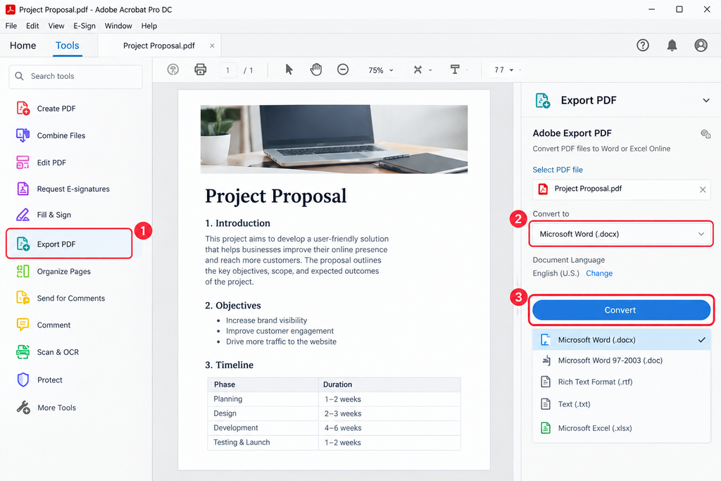 Converting PDF to Word in Adobe Acrobat